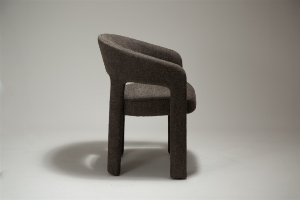 Dan-form Splendor armstoel - 3